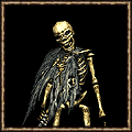 Skeleton