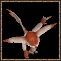 Kakoa